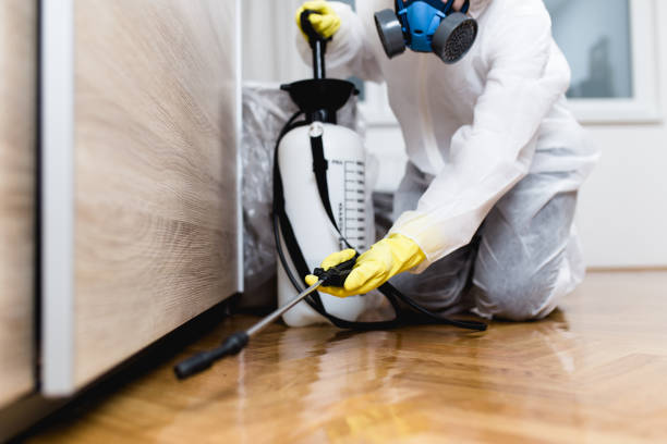 Best Flea Control Services  in Walker, MI