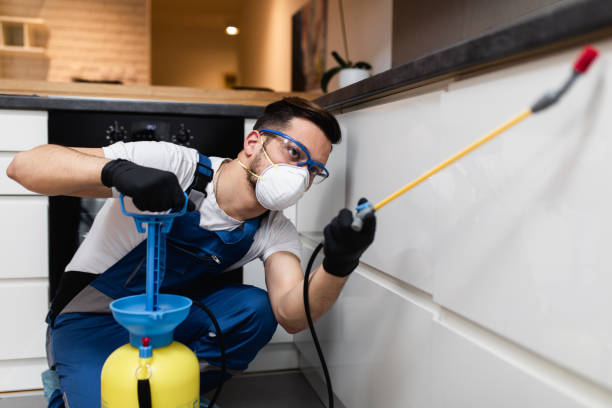Best Wildlife Control Services  in Walker, MI
