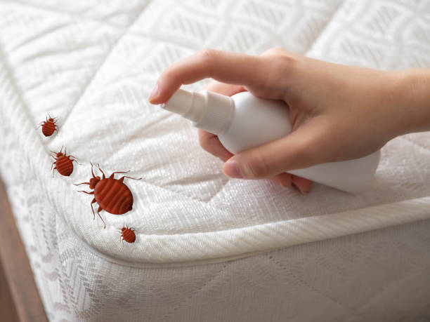 Best Best Pest Control Companies  in Walker, MI